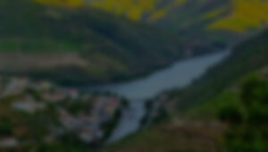 slider-main-img-1.jpg